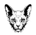 Sphynx cat face sketch hand drawn in engraved style Vector Royalty Free Stock Photo