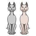 Sphynx cat hairless line art vector illustration cartoon