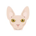 Sphynx cat isolated on white background vector illustration Royalty Free Stock Photo