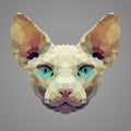 Sphynx cat low poly portrait