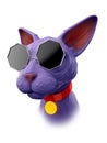 Sphynx cat in strange glasses