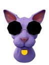 Sphynx cat in strange glasses