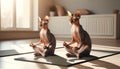 Sphynx cats in yoga poses on a mat, sunlit room, peaceful meditation atmosphere. Generative AI