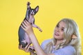 Sphynx kitten with raised paw sits in hands of young woman cosplay elf on yellow background Royalty Free Stock Photo