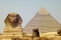 Sphynx and Pyramid Royalty Free Stock Photo