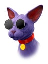 Sphynx cat in strange glasses