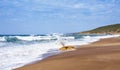 Spiaggia di Piscinas beach in Sardinia, Italy