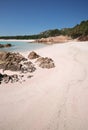 Spiaggia Rosa (Pink Beach) Royalty Free Stock Photo