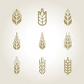 Spica icon. Vector farm element