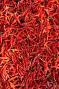 Spice Royalty Free Stock Photo