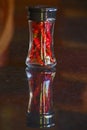 A spice bottle with dried red hot chili 6494 Royalty Free Stock Photo