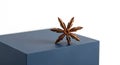 Star anise (Illicium verum) rests on a dark blue cube against a white background. The Royalty Free Stock Photo