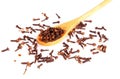 Spice clove in spoon isolated