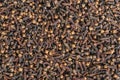 Spice cloves Royalty Free Stock Photo