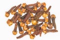 Spice cloves on white