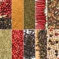 Spice Collage. Various Pepper Corns Collection Mix