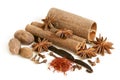 Spice collection Royalty Free Stock Photo