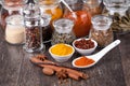 Spice collection Royalty Free Stock Photo