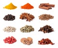 Spice collection Royalty Free Stock Photo