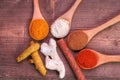 Spice collection Royalty Free Stock Photo