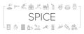 Spice Condiment Herb Collection Icons Set Vector . Royalty Free Stock Photo