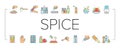 Spice Condiment Herb Collection Icons Set Vector . Royalty Free Stock Photo