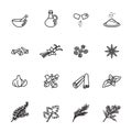 Spice, condiment and herb icons set. Line style stock vector. Royalty Free Stock Photo