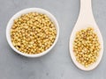 Spice coriander Coriandrum sativum seeds in ceramic bowl and wooden spoon on gray concrete background