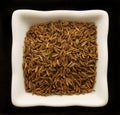 Spice cumin in a ceramic bowl. Royalty Free Stock Photo