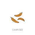 Cumin seeds icon