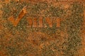 Spice - dry mint Royalty Free Stock Photo