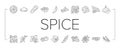 spice food herb leaf icons set vector Royalty Free Stock Photo