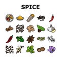 spice food herb leaf icons set vector Royalty Free Stock Photo