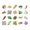 spice food herb leaf icons set vector Royalty Free Stock Photo