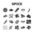 spice food herb leaf icons set vector Royalty Free Stock Photo