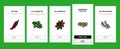 spice food herb leaf onboarding icons set vector Royalty Free Stock Photo