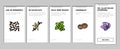 spice food herb leaf onboarding icons set vector Royalty Free Stock Photo