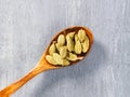 Spice green cardamom Elettaria cardamomum in wooden spoon closeup on gray concrete background Royalty Free Stock Photo