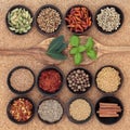 Spice and Herb Sampler Royalty Free Stock Photo