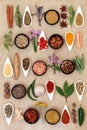 Spice and Herb Sampler Royalty Free Stock Photo