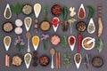Spice and Herb Sampler Royalty Free Stock Photo