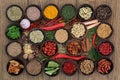 Spice and Herb Sampler Royalty Free Stock Photo