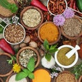 Spice and Herb Seasoning Royalty Free Stock Photo