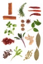 Spice and Herb Selection Royalty Free Stock Photo