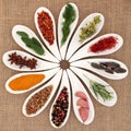 Spice and Herb Selection Royalty Free Stock Photo