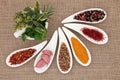 Spice and Herb Selection Royalty Free Stock Photo