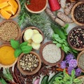 Spice and Herb Selection Royalty Free Stock Photo