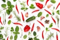 Spice herbal leaves and chili pepper on white background. Vegetables pattern. Floral and vegetables on white background. Top view