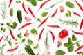 Spice herbal leaves and chili pepper on white background. Vegetables pattern. Floral and vegetables on white background. Top view