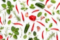 Spice herbal leaves and chili pepper on white background. Vegetables pattern. Floral and vegetables on white background. Top view